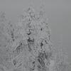 DSC01258