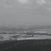 DSC01288