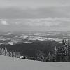 DSC01293