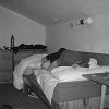 DSC01302