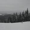 DSC01312