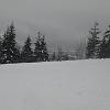DSC01458
