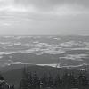 DSC01477